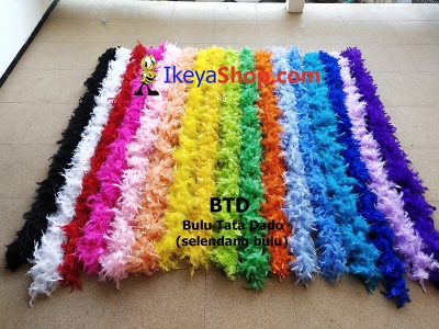 large2 BTD D